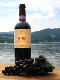 Coppo L'Avvocata Barbera d'Asti DOC 2008